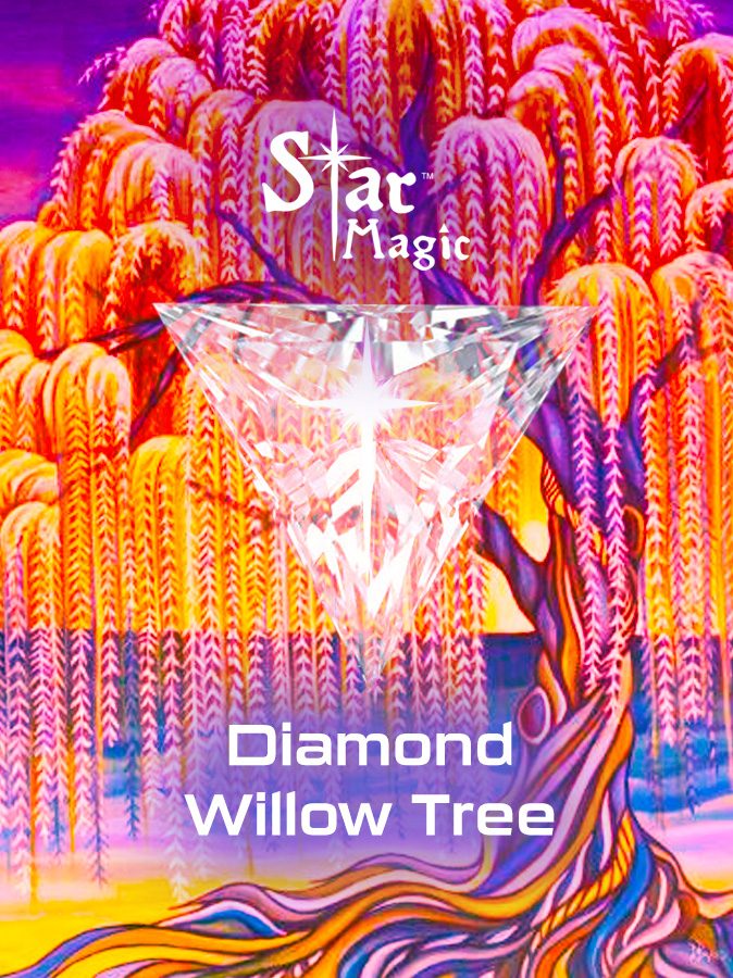 Diamond Willow Tree - Star Magic